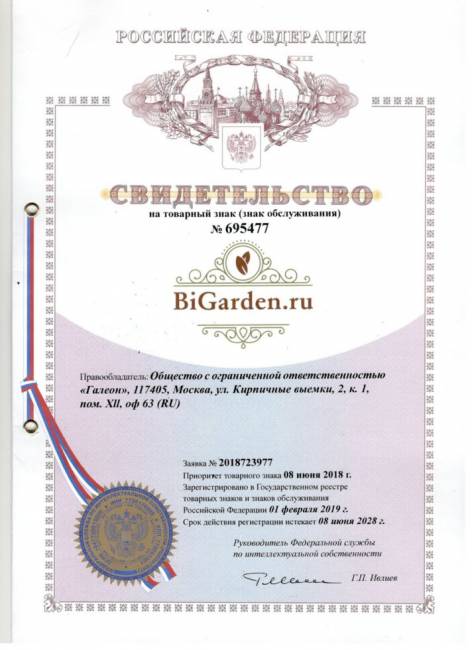 Двойное подвесное кресло "Gemini promo Black BS", без стойки, Зеленая подушка Двойное подвесное кресло "Gemini promo Black BS", без стойки, Зеленая подушка