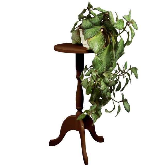 Подставка под цветы напольная П2 средне-коричневый Подставка под цветы напольная П2 средне-коричневый